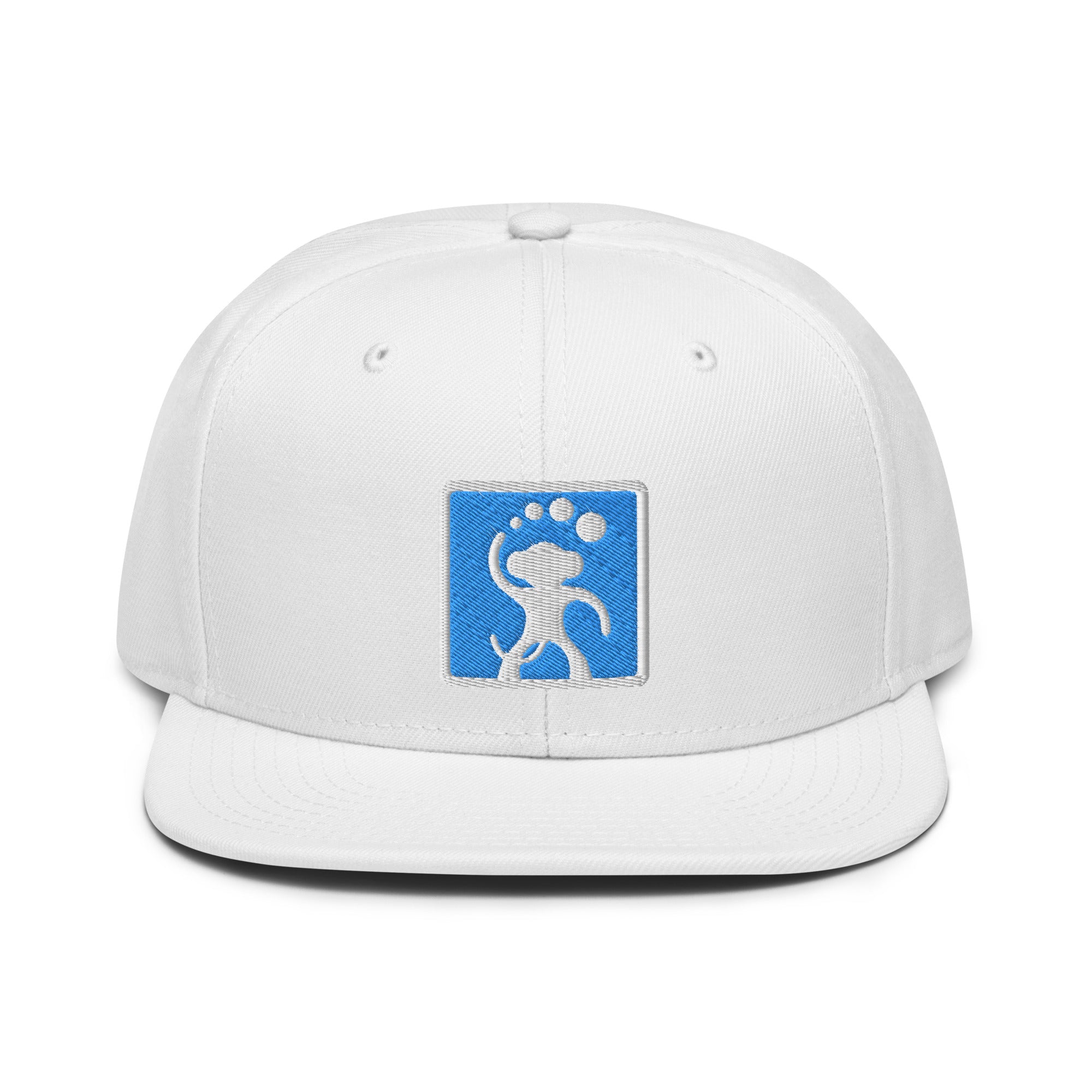 Dumbmunkey "Munkey Squared" Snapback Hat